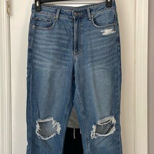 American Eagle Mom Jean